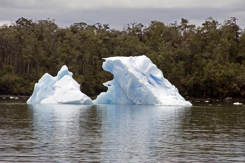 20071217 131056 D2X (168) 4200x2800.jpg - Icebergs. Laguna San Rafael